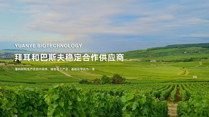 酶制剂国标助力纺织行业升级，揭秘其在纺织中的应用奥秘
