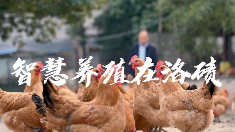 疫苗类生物制品定制研发：揭秘定制化研发的奥秘
