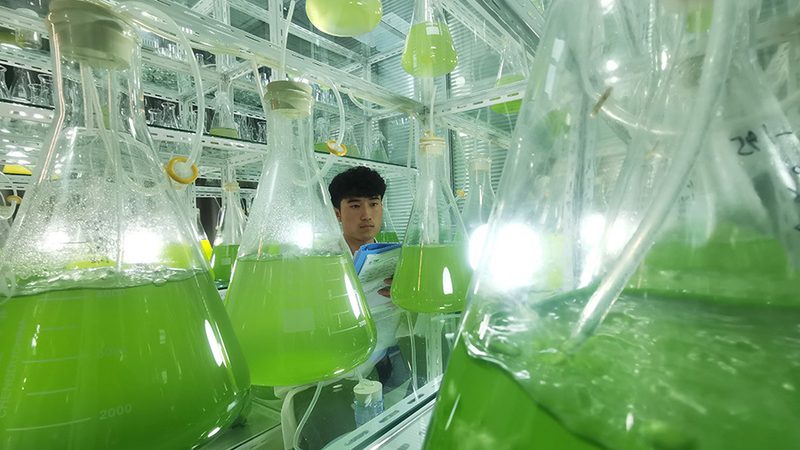 实验室耗材：价格与品质的平衡之道
